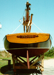 INDIGO STERN